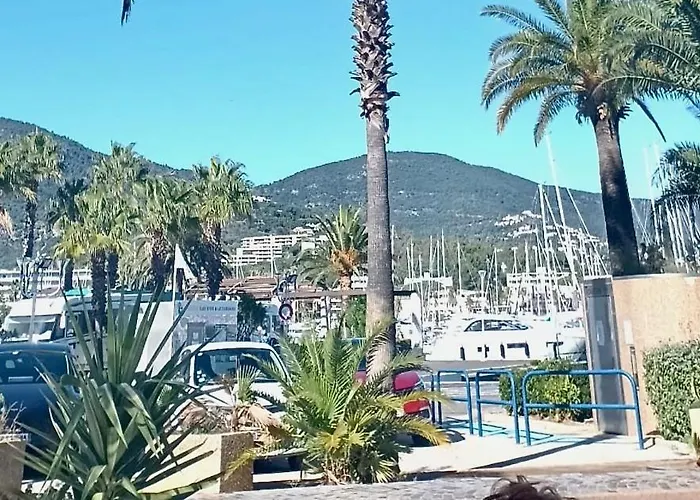 Ca270-410 2 Pieces Personnes Au Rez De Jardin A Appartement *